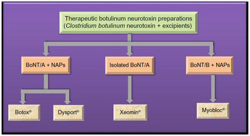 Figure 3 Contents of commercially available therapeutic botulinum formulations.
