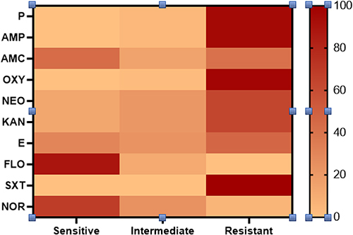 Figure 4 Illustrates the antimicrobial susceptibility of the recovered G. anatis from diseased layer chickens.