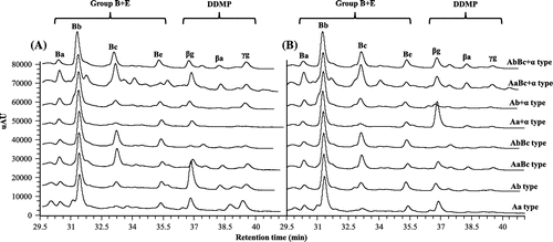 Fig. 4. Comparison of group B + E and DDMP saponins in primary (A) and secondary roots (B) of eight common saponin phenotypes of wild soybean. Comparatively, primary and secondary roots contained more group B + E and less DDMP saponins. Saponin components were monitored by a PDA detector at UV 205 nm.