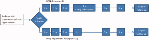 Figure 1. Flowchart illustrating the outline of the Oslo RDN study and the two groups; the Renal Denervation group, and the Drug Adjustment group. The box containing ‘1 y + drug adjustment’ denotes in the RDN group the start of drug adjustment in this group. The dotted lines illustrate a planned follow-up visit 10 years after randomisation.
