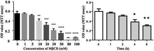 Figure 2. Effect of MβCD on the viability of HUVECs detected by MTT assay. Left: the cells were treated with MβCD at different concentrations (0–100 mM as indicated) for 1 h; right: the cells were treated with 5 mM MβCD for different periods of time (0, 1, 2, 4, and 8 h, respectively). *p < 0.05; **p < 0.01 compared with the control (left: n = 3; right: n = 4); ***p < 0.001; ****p < 0.0001.
