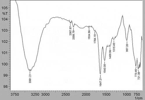 Figure 6. FTIR spectrum of the M2e-specific IgY-ALP bioconjugate.