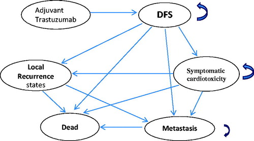 Figure 1. Markov model. Arrows indicate transitions. Arrows that curve back to the same state represent remains in the same state. DFS: Disease free survival. CHF: congestive heart failure.