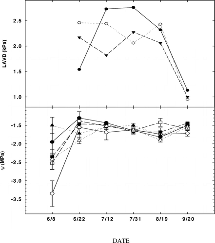 FIGURE 2.  (A) Mean leaf to air vapor pressure deficit (LAVD) for A. lasiocarpa and P. engelmannii at FS (closed circles, subalpine forest, 2965 m), TS (open squares, upper treeline ecotone, 3198 m), and AS (solid triangles, alpine treeline, 3256 m). (B) Mean daily xylem water potentials (ψ) for A. lasiocarpa (open symbols) and P. engelmannii (closed symbols) for the three study sites FS (circles, subalpine forest, 2965 m), TS (squares, upper treeline ecotone, 3198 m), and AS (triangle, alpine treeline, 3256 m) through the 2002 growing season. Vertical bars are standard errors