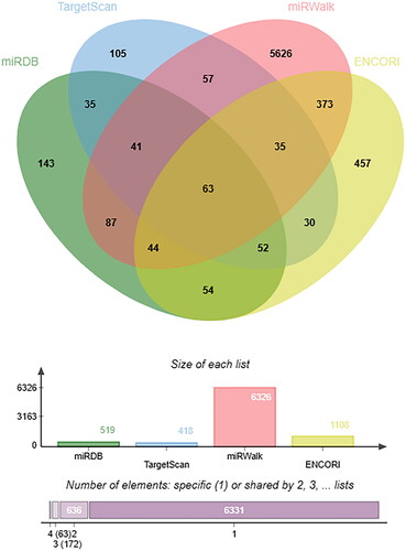 Figure 6. A Venn diagram of miR-223 target genes predicted by miRDB, TargetScan, miRWalk and ENCORI database. Abbreviations: ENCORI, Encyclopaedia of RNA Interactomes.