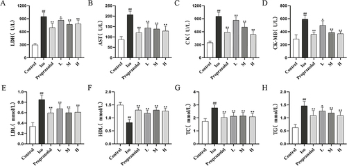 Figure 8 Effect of CRC-CDs on serum cardiac marker enzymes (A-D) and blood lipids (E-H) in various groups of rats. (A) LDH levels in serum. (B) AST levels in serum. (C) CK levels in serum. (D) CK-MB levels in serum. (E) LDL levels in serum. (F) HDL levels in serum. (G) TC levels in serum. (H) TG levels in serum. Date are represented as means ± SD (n = 8). ##P < 0.01 compared with the control group, **P < 0.01 and *P < 0.05 compared with the Iso group.