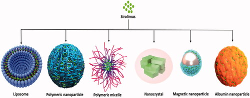 Figure 3. Schematic representation of various nanocarriers for sirolimus delivery which are currently under in vitro and preclinical evaluation.
