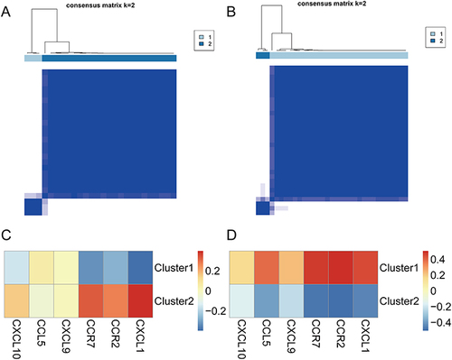 Figure 9 Molecular subtypes of osteoarthritis and rheumatoid arthritis. (A) Consensus clustering results in osteoarthritis. (B) Consensus clustering results in rheumatoid arthritis. (C) Heatmap of the correlation between the two molecular subtypes and the hub genes in osteoarthritis, with red indicating a strong positive correlation and blue indicating a strong negative correlation. (D) Heatmap of the correlation between the two molecular subtypes and the hub genes in rheumatoid arthritis, with red indicating a strong positive correlation and blue indicating a strong negative correlation.