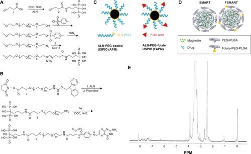 Figure 1 Folate-targeted and nontargeted magnetite particle synthesis.Notes: (A) Synthesis of ALN-PEG polymer; (B) ALN-PEG-folate; (C) cartoon structure of APM and FAPM; (D) schematic of SMART and folate-modified SMART (FSMART); and (E) an NMR spectrum of conjugated ALN-PEG are shown.Abbreviations: ALN, alendronate; PEG, polyethylene glycol; APM, ALN-PEG-coated magnetite; FAPM, ALN-PEG-FA-coated magnetite; SMART, small magnetite antiretroviral therapy; NMR, nuclear magnetic resonance; EDC, 1-ethyl-3-(3-dimethylaminopropyl)carbodiimide; NHS, N-hydroxysuccinimide; NaN3, sodium azide; Cu, copper; FA, folic acid; DCC, N,N′-dicyclohexylcarbodiimide; USPIO, ultrasmall superparamagnetic iron oxide; PLGA, poly(lactic-co-glycolic acid).