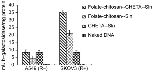 Figure 6.  Transfectivities of Folate-chitosan-CHETA-Sln, Folate-chitosan−Sln, CHETA−Sln and naked DNA in SKOV3 cells (R+) and A549 cells (R-) at the absence of serum. The data represent the mean ± S.D of three wells and was representative of three independent experiments.