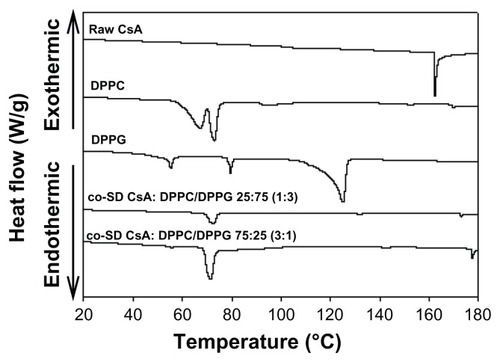 Figure 4 Representative differential scanning calorimetry thermograms at 5°C/minute heating scan rate of raw CsA, pure DPPC, pure DPPG, and organic solution advanced co-SD lung surfactant-mimic powders of co-SD CsA:DPPC/DPPG 25:75 (1:3) and co-SD CsA:DPPC/DPPG 75:25 (3:1).Abbreviations: CsA, cyclosporine A; DPPC, dipalmitoylphosphatidylcholine; DPPG, dipalmitoylphosphatidylglycerol; SD, spray dried.