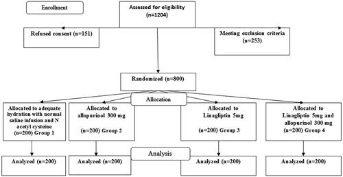 Figure 1. Study flow chart.