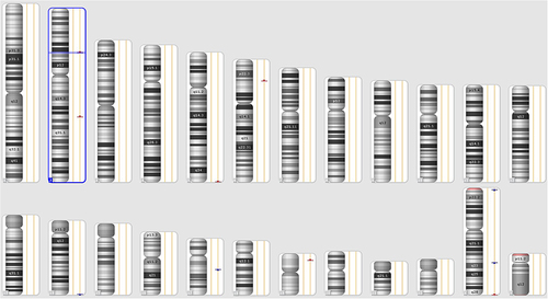 Figure 6 Karyoview of patient’s chromosomal microarray results. Note a deletion within the short arm of chromosome 2 in the 2p15 region.