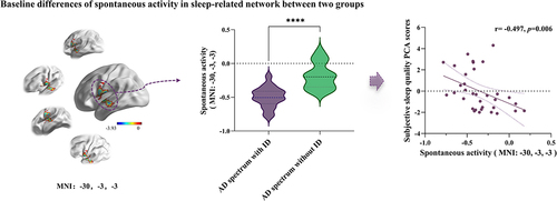 Figure 4 Distribution of baseline collaborative network spontaneous activity differences between the AD spectrum with ID and without ID groups in the sleep-related conjunction network. Two-sample t tests were performed between two groups’ normalized ALFF maps with gender, age, education level, HAMD, HAMA as covariates, thresholds were set at p < 0.05, determined by Monte Carlo simulation, and the differential brain region covered affective auditory processing and sensory-motor networks (peak MNI coordinate: −30, −3, −3), including the left middle temporal gyrus (LMTG), left putamen, left amygdala, left superior temporal gyrus (LSTG), left postcentral gyrus (LpostCG), and left precentral gyrus (LpreCG). It showed significantly decreased activity in the AD spectrum with ID group (purple violin graph) compared to without ID group (green violin graph), **** means p<0.0001. Spontaneous activity in this collaborative network was significantly negatively correlated with “subjective sleep quality” scores in all patients at baseline (r= −0.497, p=0.006), which meant that the lower the intrinsic activity in this collaborative network, the worse the sleep quality within AD spectrum patients.