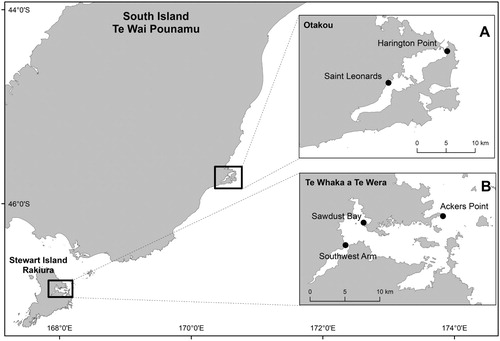 Figure 1. Map displaying the two study locations in southern New Zealand. Insets show the two study sites in Ōtākou (A) and three study sites in Te Whaka ā Te Wera (B).