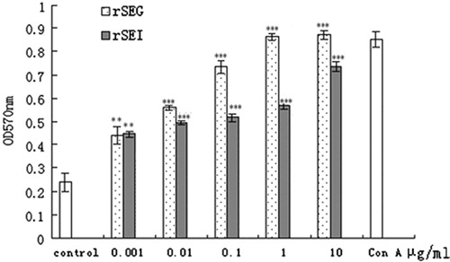 Figure 4. Effects of rSEG and rSEI on multiplication exponential of mouse lymphocytes by the MTT assay. Compared with the negative control group: ***p < 0.001, **p < 0.01, *p < 0.05.