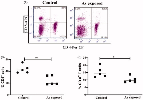 Figure 3. Effect of prenatal As exposure on splenic CD4+ and CD8+ T-cell frequencies. Splenocytes from individual mice were collected at 28 days-of-age, stained, and CD4+ and CD8+ populations evaluated using flow cytometry. (A) Representative dot-plots of CD4+ and CD8+ T-cells in control and prenatally As-exposed offspring. Percentage (B) CD4+ T-cells and (C) CD8+ T-cells (n = 5/group). Value significantly different from control at *p < 0.05, **p < 0.01.