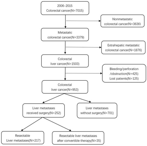 Figure 1 Flowchart of the study. A total of 953 patients with synchronous colorectal liver metastases were included, 252 of them received liver resection and 701 received non-surgical treatment.