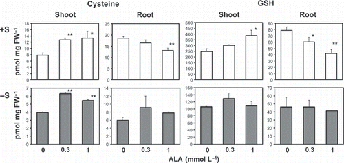 Figure 4 Effects of 5-aminolevulinic acid (ALA) treatment on cysteine and glutathione (GSH) accumulation in plants. Plants were treated as described in Fig. 2. The medium used for the experiment contained 1500 (+S) or 15 μ mol L−1 (−S) sulfate as a sulfur source. Statistically significant differences from the control are shown. *P < 0.1; **P < 0.05 (n = 4). FW, fresh weight.