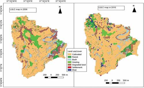 Figure 3. Land use/cover map of Kecha micro watershed in 2006 and 2016.
