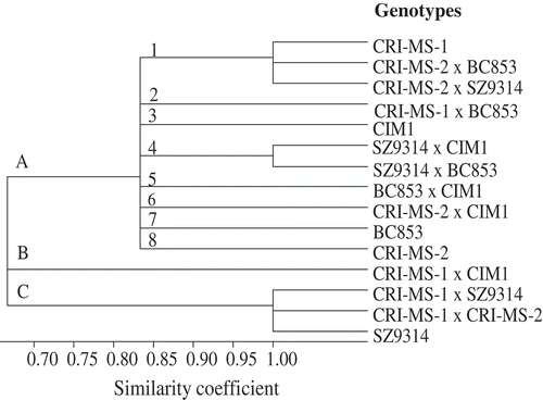 Figure 1. Dendrogram based on euclidean distance and hierarchical clustering method for morphological data.