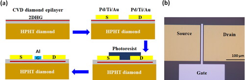 Figure 1. (a) Fabrication process of the diamond MESFETs based on the H-terminated diamond surface conductivity, including the growth of a CVD diamond epilayer, deposition of the Ohmic contacts, mesa formation for isolation, and gate deposition. (b) Optical image of a typical diamond MESFET.