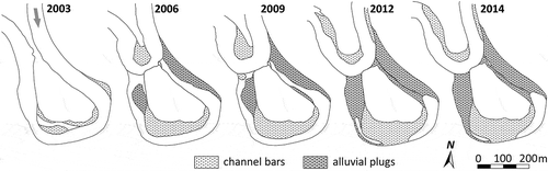 Figure 8. Development of depositional forms within the abandoned meander of the Morava River. Situation was captured in April 2003, September 2006, May 2009, October 2012 and May 2014.