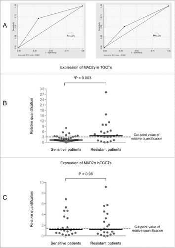 Figure 6. MAD2γ and MAD2α expression in patients with TGCTs. (A) ROC curve analysis and the Youden index were used to determine the optimal cut-off point for distinguishing overexpression and underexpression of MAD2γ and MAD2α between cisplatin-sensitive and cisplatin-resistant patients. The cut-off value for MAD2γ was 3.091, and for MAD2α it was 1.33. (B) and (C) Relative quantification of MAD2γ and MAD2α expression levels between both groups of patients as measured by quantitative real-time RT-PCR. MAD2γ was overexpressed in 70% of the cisplatin-resistant patients, whereas only 30% of the cisplatin-sensitive patients overexpressed MAD2γ. There was no significant difference in MAD2α expression between the groups of patients.