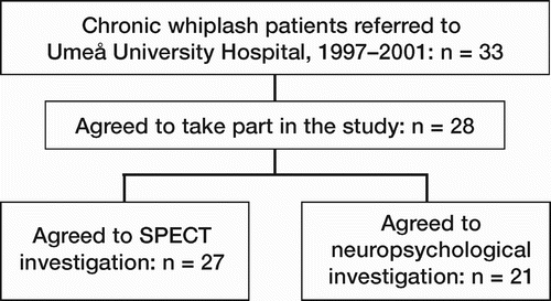 Figure 8. Sampling of chronic whiplash patients.