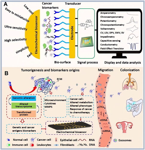 Figure 2. (A) Schematic presentation for depicting advantages, parts, and diverse measurement methods of electrochemical genosensors. (B) Cancer genosensors originate from tumorigenesis, cancer cell migration, and colonization to a secondary site [Citation11].