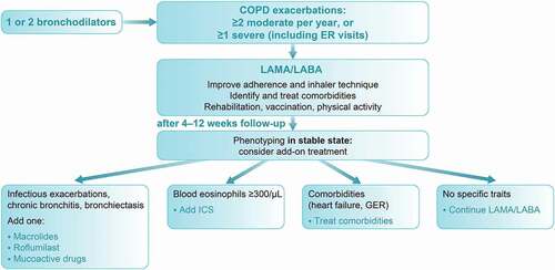 Figure 3. Proposed algorithm for treatment of patients with frequent COPD exacerbations in CEE.
