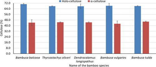 Figure 2. Cellulose content of five bamboo species.