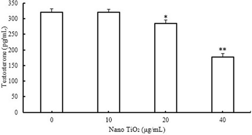 Figure 10 Effects of nano-TiO2 on testosterone level in LCs (*P<0.05 and **P<0.01).Notes: Testosterone production in LCs was suppressed in the presence of nano-TiO2. Values represent mean ± SD (n=5).Abbreviations: LCs, Leydig cells; nano-TiO2, nanoparticulate TiO2.