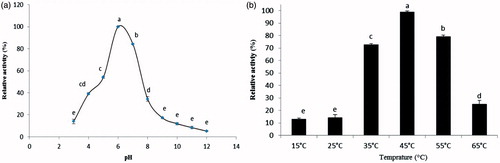 Figure 2. (a) The effect of pHs on the mean relative activities of α-amylase purified from the digestive system of D. maroccanus; (b) The effect of temperatures on the mean relative activities of α-amylase purified from the digestive system of D. maroccanus.
