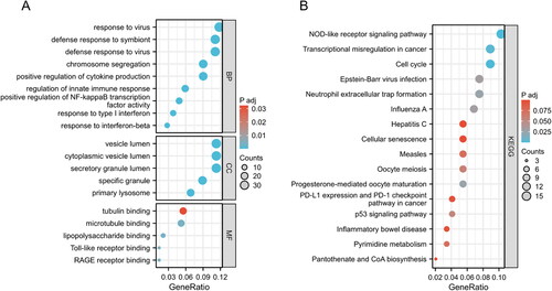 Figure 3. GO and KEGG functional enrichment analysis of the DEGs between COVID-19 and SLE. (A) The bubble graphs of GO enrichment analysis of common DEGs. (B) The bar graphs of KEGG enrichment analysis of common DEGs.