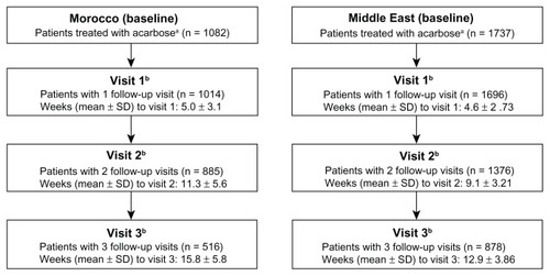 Figure 1 Patient disposition in the Morocco and Middle East cohorts.