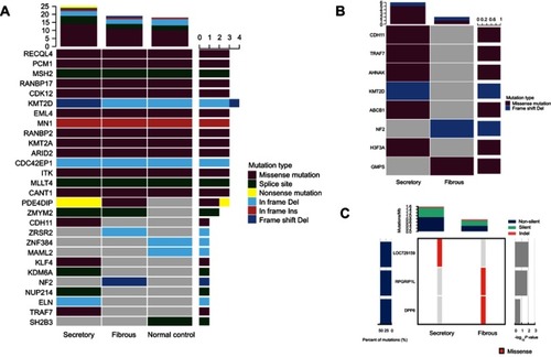 Figure 4 Whole exome sequencing revealed distinctive mutational patterns in the two sporadic multiple meningiomas of different histological features. (A) Predisposing gene mutation analysis showed the secretory subtype had the highest mutation burden and contained missense mutations in TRAF7, KLF4, and CDH11. In contrast, the fibrous subtype had a frame-shift deletion in NF2. (B) Known driver gene mutation analysis indicated the missense mutations of CDH11, TRAF7, and H3F3A in the secretory subtype. Whereas the fibrous subtype had a frame-shift deletion of NF2. (C) Significantly mutated genes analysis showed missense mutations of LOC729159 in the secretory subtype and RPGRIP1L and DPP6 in the fibrous subtype.