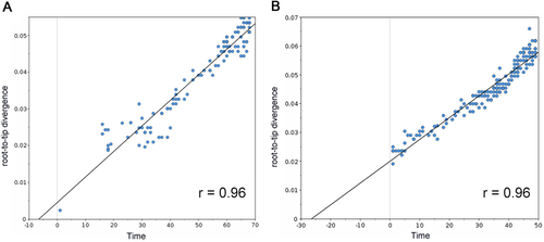 Fig. 4 Correlation of root-to-tip divergence with evolution time.a Correlation of representative H1N1 PB2 sequences from 1918 to 2009 with root-to-tip divergence. b Correlation of representative H3N2 PB2 sequences from 1968 to 2016 with root-to-tip divergence. The x axis represents the evolution time of the MRCA; the y axis represents the sequence divergence from the MRCA. Each dot corresponds to a PB2 protein sequence