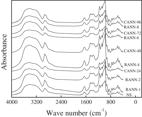 Figure 3. FT-IR patterns of native, RANN and CANN starch sample