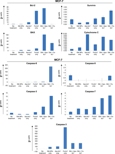 Figure S2 Fold change in gene expressions for MCF-7 cells.Note: Representative analysis for quantitative PCR analysis of key apoptotic markers and lactoferrin receptors.