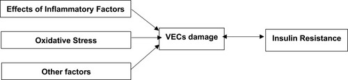 Figure 1 Relationship between influence factors, VECs and IR.