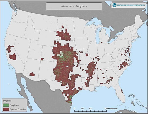 Figure 5. Distribution of sorghum land-use (aggregated 2010 to 2018 CDL data for sorghum) and counties that overlap >0.95% with area of species-range for one or more listed species