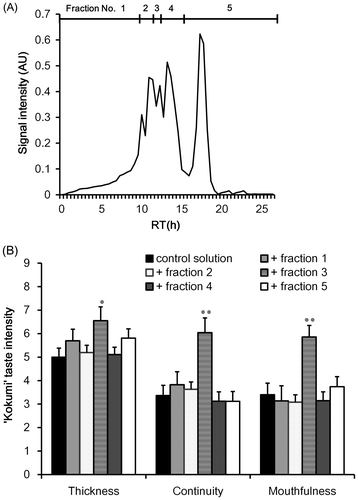 Fig. 2. Gel permeation chromatogram (A) and sensory analysis of “kokumi” taste sensation of fractions separated by UF membrane (B).