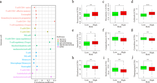 Figure 5 GBM-infiltrating immune cells and chemosensitivity were estimated using a risk assessment model. (a) Predictive maps of GBM-infiltrating immune cells using XCELL, TIMER, QUANTISEQ, MCPCOUNTER, and EPIC software based on the TCGA database. p < 0.05. (b-e) The model acted as a potential predictor for chemosensitivity, as high-risk scores were related to a higher IC50 for chemotherapeutics. * p < 0.05, ** p < 0.01, *** p < 0.001. (f-j) The model acted as a potential predictor for chemosensitivity, as high-risk scores were related to a lower IC50 for chemotherapeutics. ** p < 0.01.