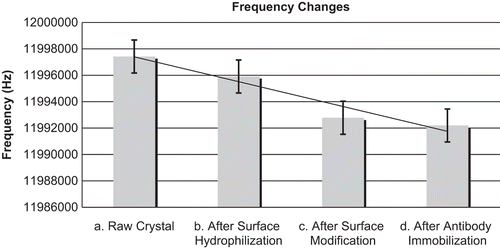 Figure 2. Average frequency changes were measured after each step of the surface cleaning and modification protocol. In each step, the frequency values decreased. (a) Base frequency values of the raw crystal after removing the metal case. (b) Frequency values after the treatment with acetone, NaOH, methanol and deionised water in the cleaning procedure. (c) Frequency values after cystamine and glutaraldehyde immobilisation. (d) Frequency values after anti-C3a immobilisation.