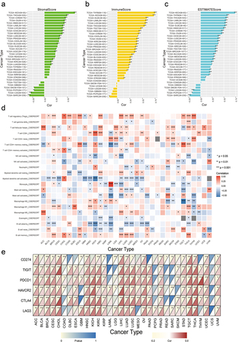 Figure 7. Correlation of MICAL1 expression with immune infiltration and immunosuppression across different cancer types. (a-c) correlation between MICAL1 expression and stromal score, immune score, and ESTIMATE score levels based on ESTIMATE algorithm; (d) correlation between MICAL1 expression and immune cell fractions estimated by CIBERSORT algorithm; (e) correlation between MICAL1 expression and expression of immunosuppressive molecules including LAG3, CTLA4, HAVCR2, PDCD1, TIGIT, and CD274. ***p < .001, **p < .01, *p < .05.