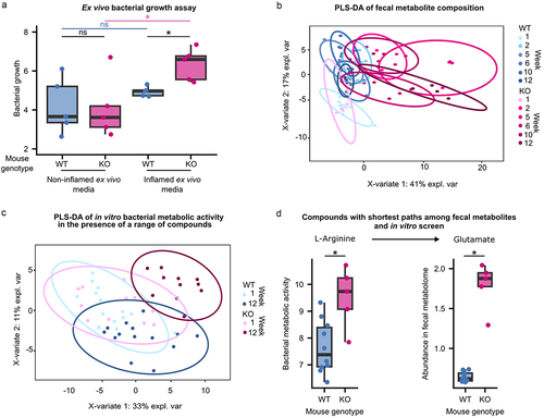 Figure 3. Phenotypic characterization of evolved E. coli and the inflammatory environment in which they were selected.