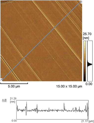 Figure 3. Topographic image of the surface of the alignment film rubbed with the cotton cloth.