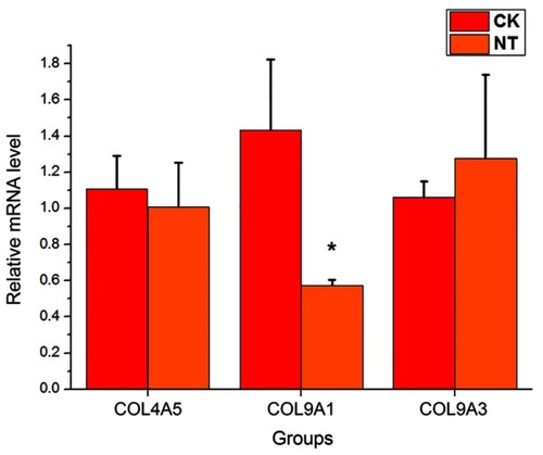 Figure 6 The mRNA expression levels of three genes involved in "ECM-receptor interaction" pathway. The target mRNA expression levels were normalized to the internal control GAPDH. The data are presented as the mean ± standard deviation (n=3).*p<0.05 significantly different from the CK group, Student’s t-test (two tailed).