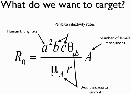 Figure 2. The Ross–McDonald equation for the basic reproductive number for malaria. R0 is the expected number of new infections deriving from a single infection in an otherwise infection-free population; a is the rate at which an adult female bites a human; b is the probability that an infectious mosquito biting a human will transmit the parasite; c is the probability that an infected human will infect a mosquito that bites it; μA is the daily mortality rate for adult female mosquitoes; θE is the probability a female mosquito survives the period between acquiring an infection and becoming infectious; and A is the number of adult female mosquitoes per person. Potential genetic approaches to vector control target one or more of these parameters. r is the rate of recovery of humans, which is unlikely to be affected by vector control. For further details on the equation see Smith and McKenzie (Citation2004).